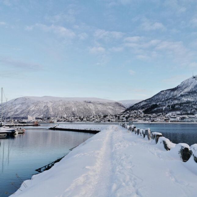 winter day trips reykjavik