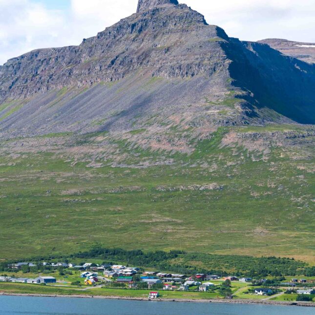 Westfjords Scenic coastal roads and fjord viewpoints-1192 Westfjords Scenic coastal roads and fjord viewpoints