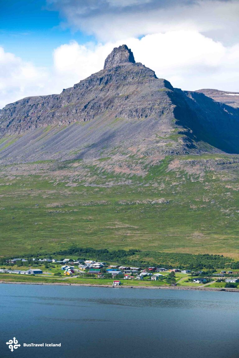 Westfjords Scenic coastal roads and fjord viewpoints-1192 Westfjords Scenic coastal roads and fjord viewpoints