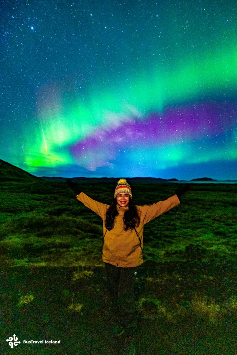 Northern Lights tours from Reykjavik Iceland-2956 Northern Lights tours from Reykjavik Iceland