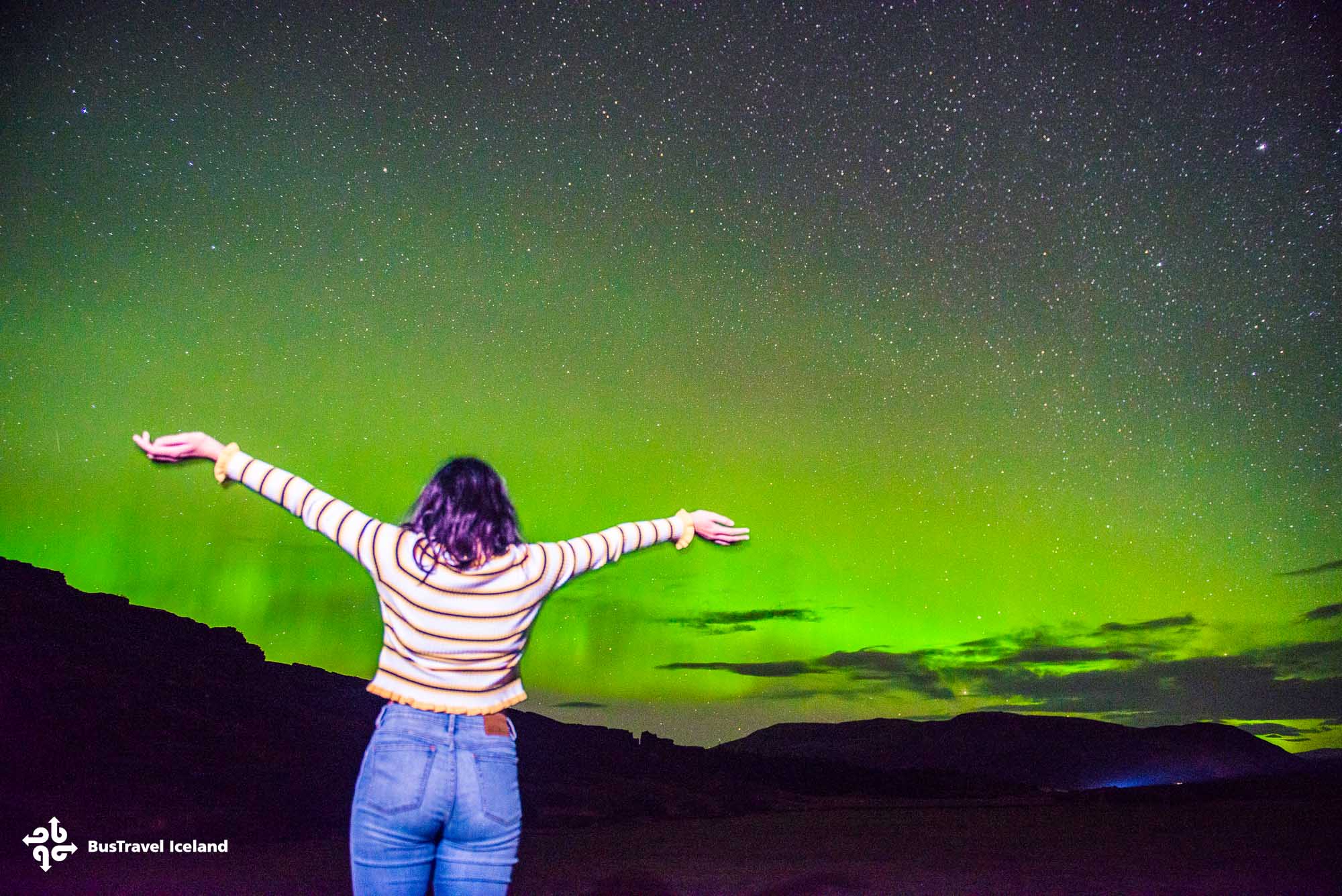 Northern Lights tours from Reykjavik Iceland-NL_Cat-7